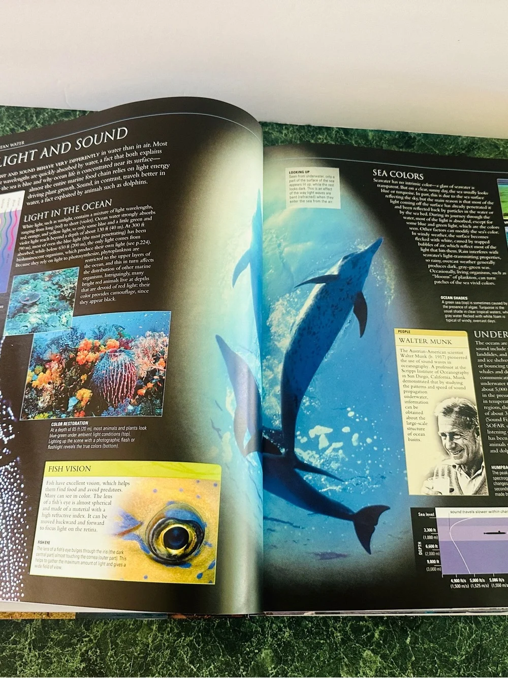 Ocean: The World's Last Wilderness Revealed -Hardcover Coffee Table Book 510p